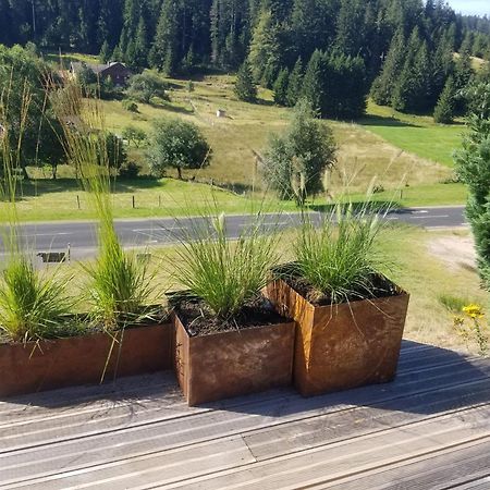 Chalet Les Vosgiennes Le Valtin Ngoại thất bức ảnh
