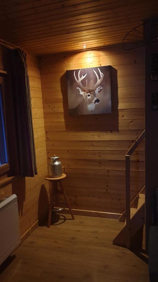 Chalet Les Vosgiennes Le Valtin Ngoại thất bức ảnh